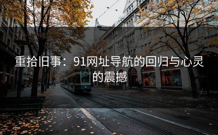 重拾旧事：91网址导航的回归与心灵的震撼