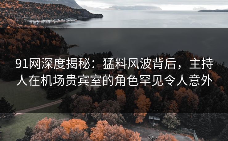 91网深度揭秘：猛料风波背后，主持人在机场贵宾室的角色罕见令人意外