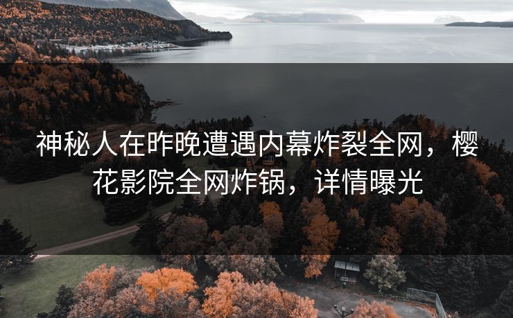 神秘人在昨晚遭遇内幕炸裂全网，樱花影院全网炸锅，详情曝光